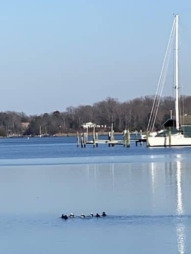Edgewater Park