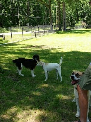 Loch Haven Park