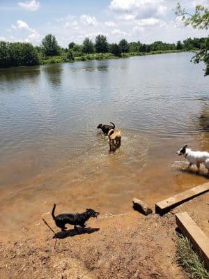 Edmond Dog Park