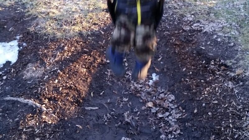 Curtis Park - Edmore,