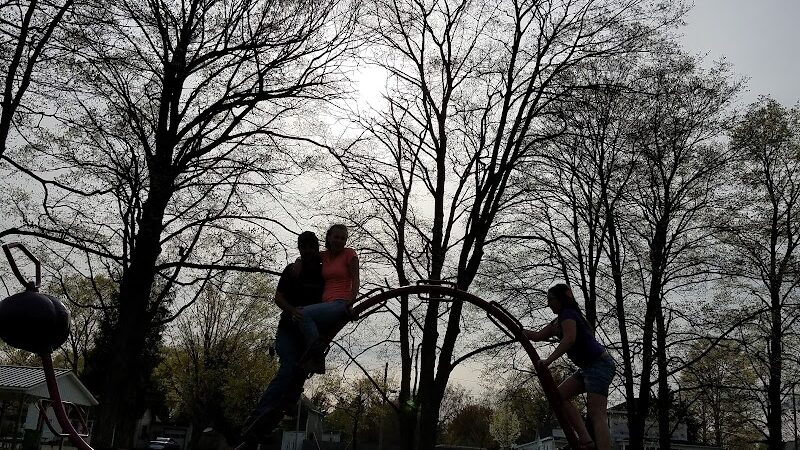 Curtis Park - Edmore,