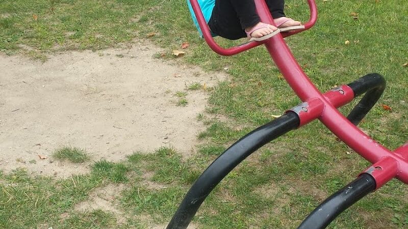 Curtis Park - Edmore,