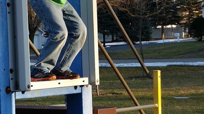 Curtis Park - Edmore,