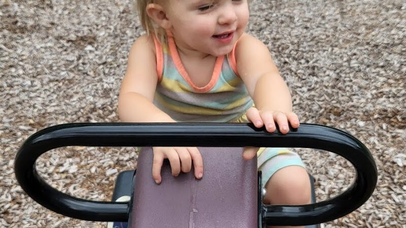 Curtis Park - Edmore,