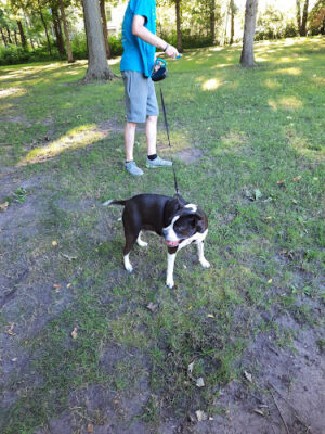 Gunn Park