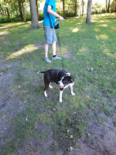 Gunn Park
