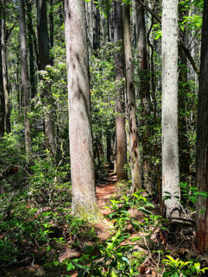 1808 Trailhead