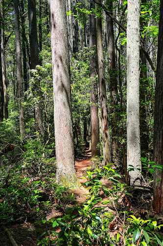 1808 Trailhead