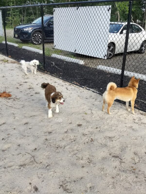Egg Harbor Township Dog Park
