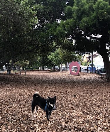 Bruce King Memorial Dog Park