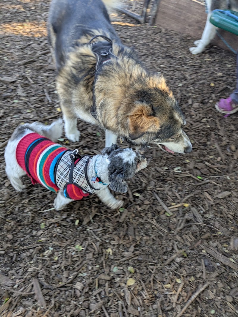 Bruce King Memorial Dog Park - El Cerrito, CA
