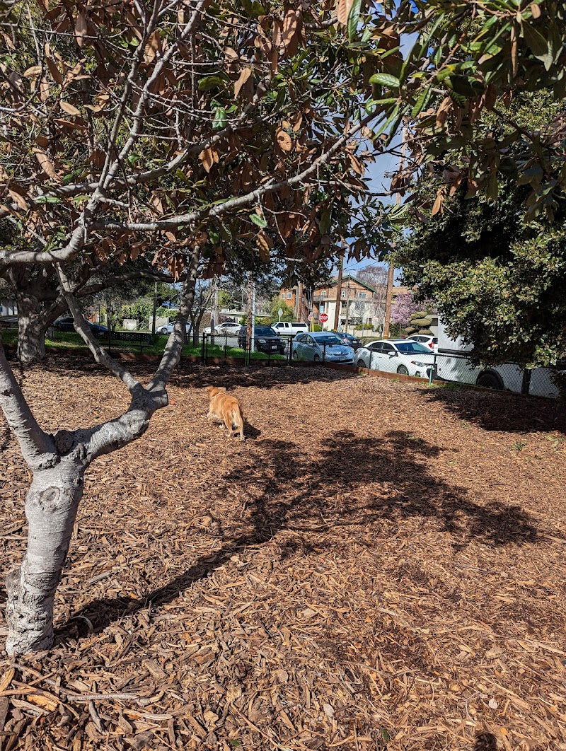 Bruce King Memorial Dog Park - El Cerrito, CA