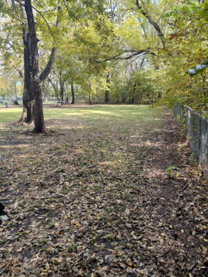 El Dorado Dog Park