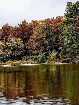 Eco Lake Park