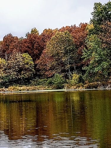 Eco Lake Park
