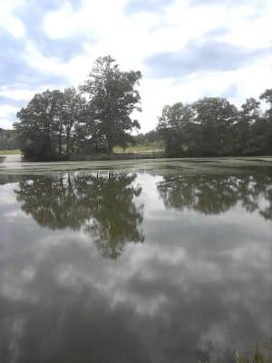 Eco Lake Park