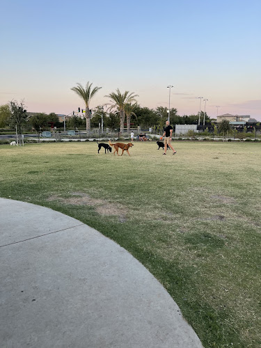 Oasis Dog Park