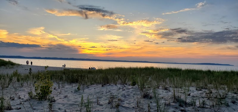 Dam Beach and Fishing Park - Elk Rapids,