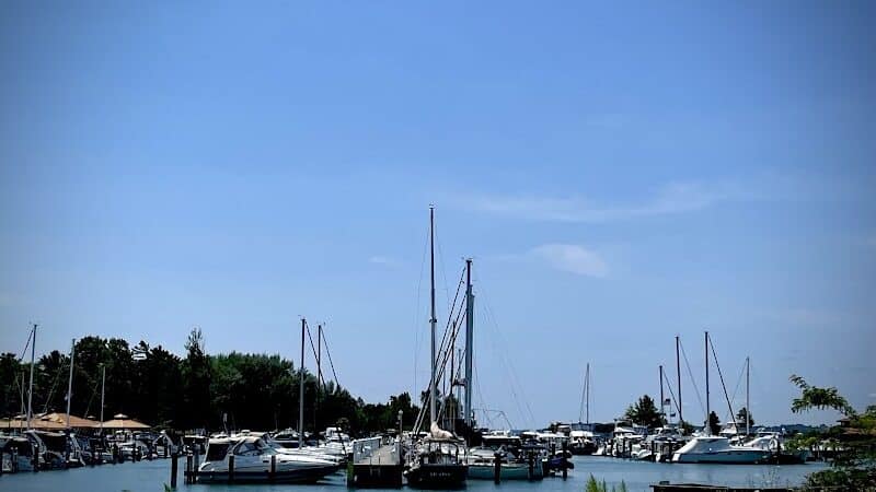 Dam Beach and Fishing Park - Elk Rapids,