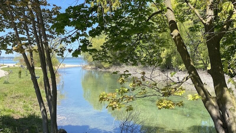 Dam Beach and Fishing Park - Elk Rapids,