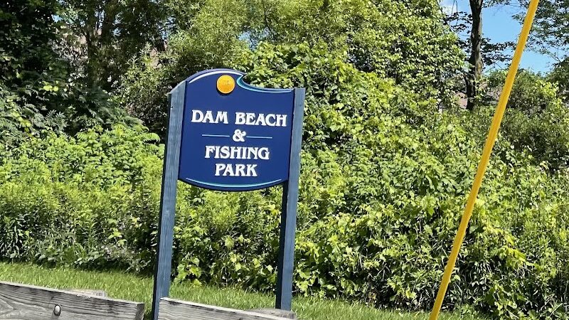 Dam Beach and Fishing Park - Elk Rapids,
