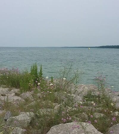 Jack Blesma Pavilion - Elk Rapids,