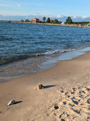 Elk Rapids Public Beach Access