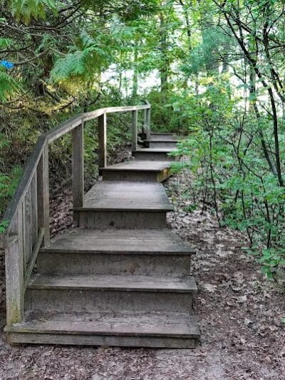 Wilcox-Palmer-Shah Preserve - Elk Rapids,