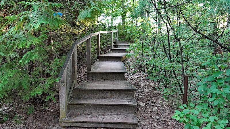 Wilcox-Palmer-Shah Preserve - Elk Rapids,