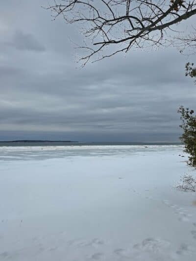 Wilcox-Palmer-Shah Preserve - Elk Rapids,