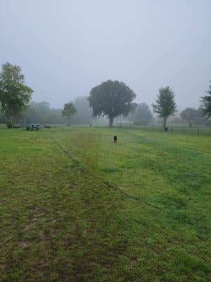 Orono Park Dog Park