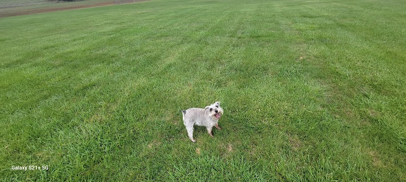 Otsego Dog Park - Elk River,