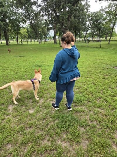 Otsego Dog Park - Elk River,
