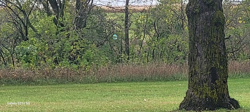 Otsego Dog Park - Elk River,