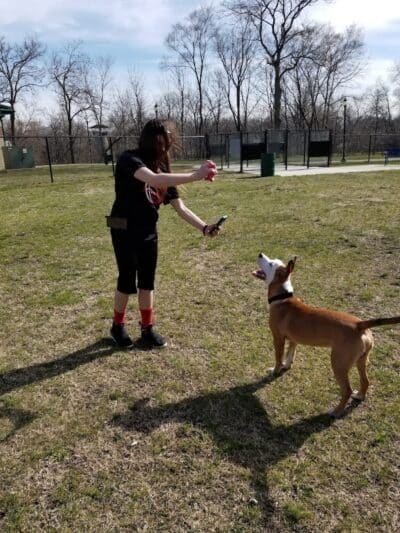 Dr. Frank Booth Dog Park - Elkhart,