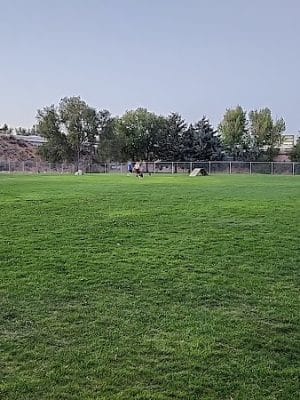Elko Dog Park!