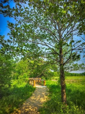 Doyle-Kennefick Regional Park