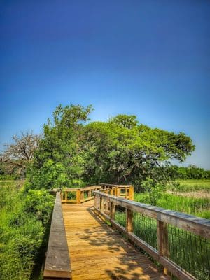 Doyle-Kennefick Regional Park