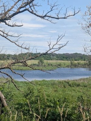 Doyle-Kennefick Regional Park