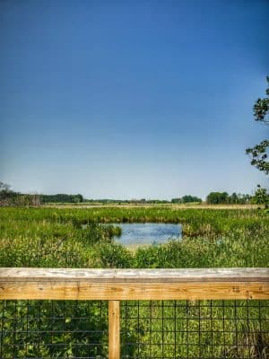 Doyle-Kennefick Regional Park
