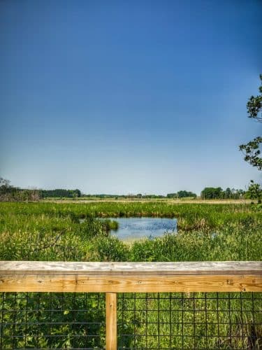Doyle-Kennefick Regional Park