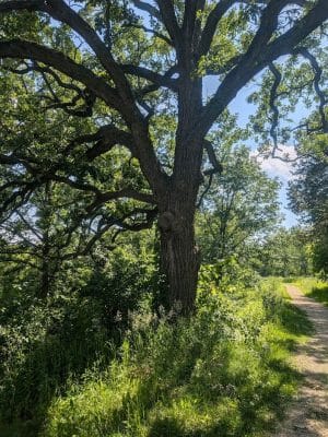 Doyle-Kennefick Regional Park