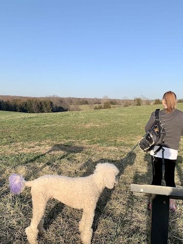 Buford’s Knoll Walking Trail - Elkwood, VA