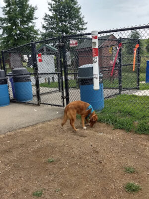 Worthington Off Leash Dog Park