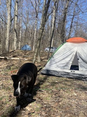 French Creek State Park