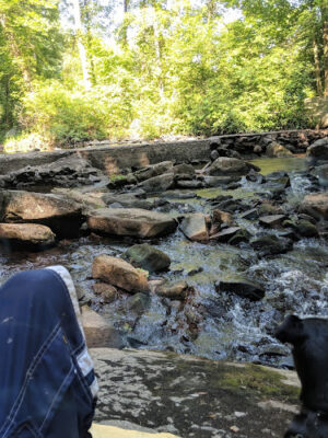Saint Peters Village Hiking Trails