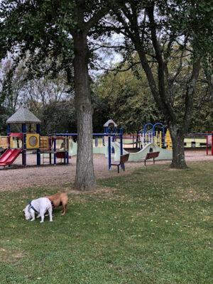 Elwood Park