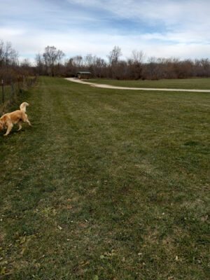 Cheyenne Off-Leash Dog Park