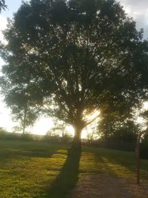 Washington Park