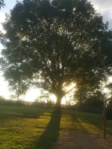 Washington Park